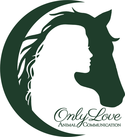 Only Love Animal Communication