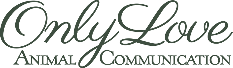 Only Love Animal Communication